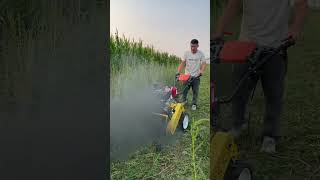 GreenFengAgriculture7 years agoSet 259  4WD multipurpose weed remover and weed cutterviralvideo [upl. by Ahsilahk]