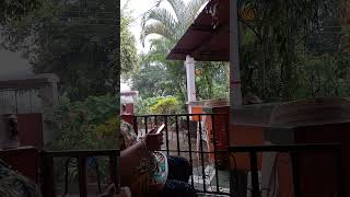 viendo caer la lluvia [upl. by Ronnoc]