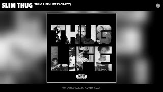 Slim Thug  THUG LIFE Life is Crazy Audio [upl. by Yraht]