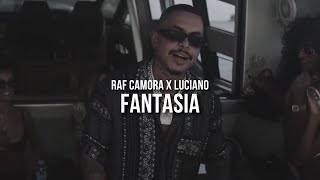 RAF CAMORA feat LUCIANO  FANTASIA prod by Skillbert [upl. by Ehcadroj290]