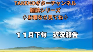 【雑談のみ】最近ショート動画学んてます。24年11月下旬の近況など [upl. by Johnston]