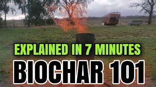 EVERYTHING YOU ever WANTED to KNOW about BIOCHAR 🔥 [upl. by Attelocin59]