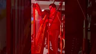 Amazing Mexican Harp Mariachi Musician shorts harp mexicanmusic [upl. by Annaes28]