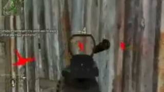 Call Of Duty 4 and 2 UNDETECTABLE Wallhack [upl. by Zellner236]