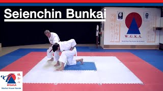 Seienchin Bunkai  Goju Ryu Karate [upl. by Neiviv]