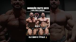 🚨BRANDÃO SECO DENSO E FIBRADO ESTÁ IMPRESSIONANTE rafaelbrandão openbodybuilding romenia [upl. by Esnahc]