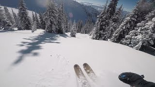 Powder Skiing  Revelstoke British Columbia [upl. by Charron18]