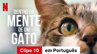 Dentro da Mente de um Gato Clipe 10  Trailer em Português  Netflix [upl. by Martelli]