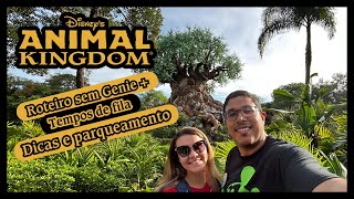 Disney Animal Kingdom Orlando  Um dia no parque SEM GENIE  Roteiro e Dicas [upl. by Frazer687]