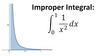 Improper Integral 1x2 evaluated from 0 to 1 [upl. by Yluj160]