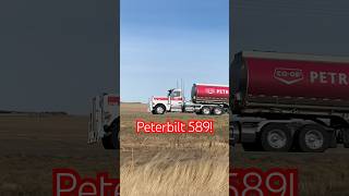 Nice Peterbilt 589 Daycab with a sixaxle super B [upl. by Harutak]