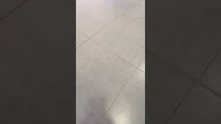 Grey Floor Tiles The Latest Trend [upl. by Boigie547]