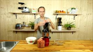 Meloneneis selber machen mit dem Zebra Whole Slow Juicer  Satpresse  Entsafter  Rohkost  Vegan [upl. by Auvil954]