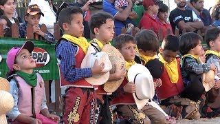 Veja como foi o rodeio em carneiros do Rancho do Peãozinho  Divinaexpo 2017 [upl. by Kasevich]