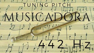 SOUND  3 MINUTES of DIAPASON  442 Hz  TUNING NOTE [upl. by Domph651]