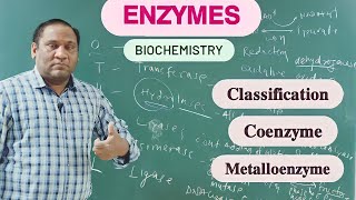 Lecture of Enzyme easy explain of coenzymes amp metalloenzymes biochemistry coenzyme youtube [upl. by Pelletier439]