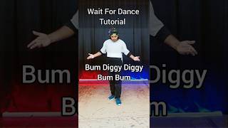 Bum Diggy Diggy Bum Bum Dance Tutorial ❤️🔥ytshorts youtubeshorts dancetutorial dance tranding [upl. by Wald501]