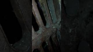 Crackhead Crawling threw the Sewers Singing Amazing Grace in E Gallie FL [upl. by Arorua517]