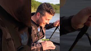 48h PBChallenge auf versteckter Insel jetzt ONLINE 🔥 angeln fishing carpfishing [upl. by Doughman]