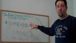 15a Budget Constraint Elasticities CalculusBased [upl. by Trilley]