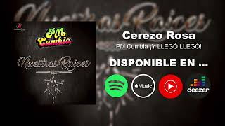 Cerezo Rosa COVER  PM Cumbia ¡Y Llegó Llegó FRAGMENTO Medley Danzones [upl. by Ameerak207]