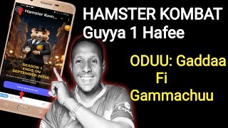 HAMSTER KOMBAT Hojjachuun Dhabbatera  Wantaa Beekuu Qabdan  Hamster Season 1 Ends ON September 20 [upl. by Martinic]