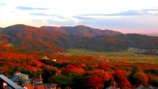 筑波山もみじまつり 秋の旅行 「美しい紅葉の筑波山ハイキング」 [upl. by Nirehtak]