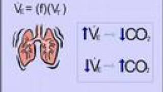 Clinical Application of Blood Gases Part I CO2 [upl. by Kavanaugh]