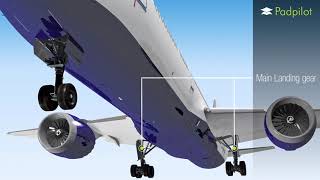 787 Dreamliner Landing Gear Operation [upl. by Nyledaj]