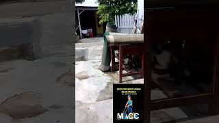 MACC Mank Arul Carpet Cleaner shorts cucikarpet cucikarpetmurah cucikarpetmesjid [upl. by Yeslah]