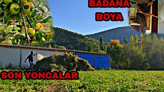 KÖYDE KIŞA HAZIRLIKYONCA İŞİ BİTİYORköy evi badana boya [upl. by Janina]