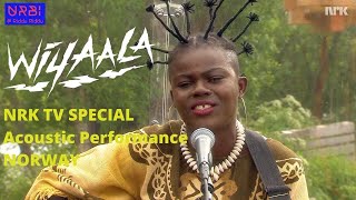 Wiyaala Live Acoustic for NRK TV Norway [upl. by Mokas700]