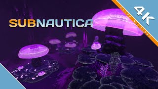 Subnautica quotJellyshroom Cavequot  4K [upl. by Danita362]