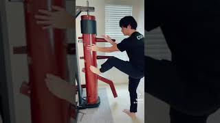 Wing Chun Rotating Dummy Tutorial shorts [upl. by Eveline]