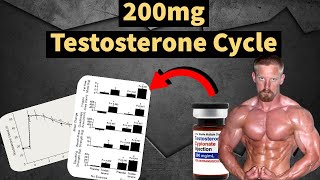 200mg Testosterone Cycle  Best Steroid Cycle  Muscle Gains  Side Effects  Doctors Analysis [upl. by Clim848]