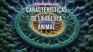 Características de la Célula Animal [upl. by Beekman729]