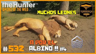 CAZANDO UN MONTÓN DE LEONES MACHOS  APARECE UN LEGENDARIO 3  🦌theHunter CotW 532 [upl. by Pember]