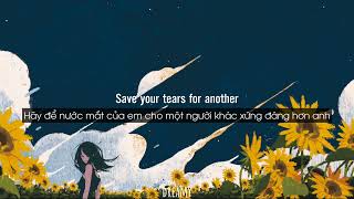 LyricsVietsub Save Your Tears  The Weeknd l Tiktok version [upl. by Proudlove]