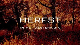 Herfst in het Westerpark [upl. by Alfred788]