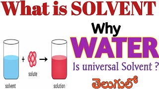 What is solvent Why Water is universal solvent Types of solvent states Solvent classifications [upl. by Nahsin]