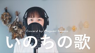 いのちの歌  竹内まりや Cover by Megumi Sugeno [upl. by Dorette650]