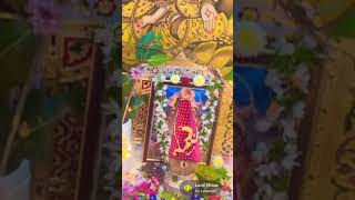 Kedareswara vratha pooja ll youtubeshorts shorts ll lord shiva [upl. by Letrice]