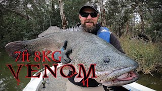 8kg Venom amp Giant river fish [upl. by Kramlich]