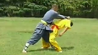 Kung Fu 36 fight techniques [upl. by Asp]