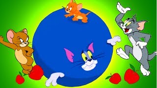 Tom and Jerry Games Cartoon Full Episodes  Colossal Catastrophe amp War of the Whiskers Kids Games [upl. by Airetahs]