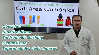 Calcarea carbonica Homeopatia y Salud Express [upl. by Ydaf]