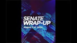 Senate Wrapup August 5  8 2024 [upl. by Moitoso196]