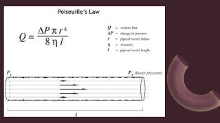 Poiseuilles law [upl. by Frum643]