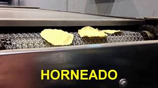 MAQUINAS PARA TOSTADA HORNEADA [upl. by Otreblig39]