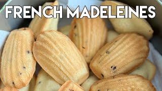 How to Make French Madeleines  The Best Madeleine Recipe  Homemade Madeleines  Easy Madeleines [upl. by Pfaff]